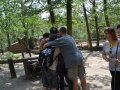 DSC_2764.JPG